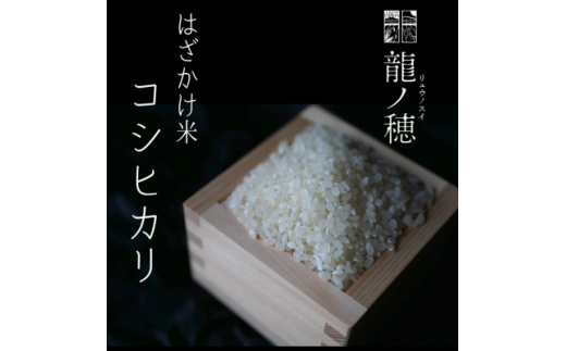 ＜新米・令和6年産＞南信州産はざかけ米　コシヒカリ5kg【1577122】 1796791 - 長野県飯田市