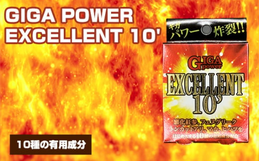 No.307 GIGA POWER EXCELLENT 10’ ／ サプリメント サプリ 大阪府 1796402 - 大阪府藤井寺市