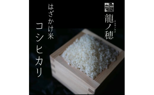 ＜新米・令和6年産＞南信州産はざかけ米　コシヒカリ10kg【1577123】 1796792 - 長野県飯田市