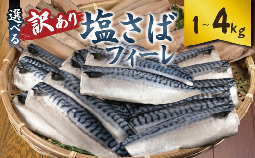 訳あり 塩サバフィーレ 選べる容量 約1kg 約2kg 約3kg 約4kg ノルウェー産 冷凍 サバ 鯖 塩サバ 塩鯖 海鮮 魚 大容量 規格外 不揃い 青魚 おかず 惣菜 魚介 おつまみ 弁当 人気 冷凍食品 グルメ 贈答 贈物 ギフト 長期保存 小分け お取り寄せ BBQ ふるさと納税 ふるさと納税サバ 送料無料 千葉県 銚子市 大一奈村魚問屋