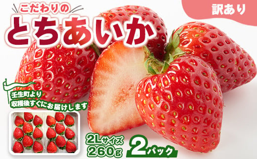 「訳あり」とちあいか 2Lサイズ 260g×2パック ｜ 訳あり とちあいか いちご 苺 栃木県 果物 フルーツ ※北海道・沖縄・離島への配送不可 ※2025年1月中旬～3月中旬頃に順次発送予定