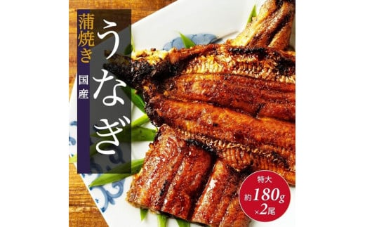 国産 うなぎの蒲焼き 特大 180g×2尾 タレ・山椒付［3-4人前］ 1764609 - 広島県尾道市