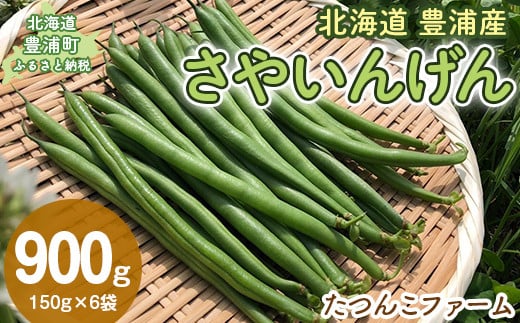 【2025年8月順次発送】さやいんげん150g×6袋 【 ふるさと納税 人気 おすすめ ランキング 野菜 根菜 いんげんインゲン国産 バラ 詰合せ 混合 おいしい 美味しい 甘い 北海道 豊浦町 送料無料 】 TYUF006 1764177 - 北海道豊浦町