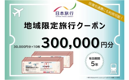 東京都文京区 　日本旅行　地域限定旅行クーポン300,000円分 宿泊・体験 [№5338-0111]