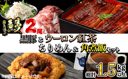 【丑の日までに配送】霧島湧水鰻2尾＆釜揚げちりめん＆黒豚ウデ切り落とし＆ウーロン紅茶＆角煮飯セット 総計1.5kg以上！ うなぎ ウナギ 蒲焼 2尾 鰻重 うな丼 黒豚 切り落とし 紅茶 ウーロン茶 しらす ちりめんじゃこ 角煮 おかず おやつ b8-034-us 1703564 - 鹿児島県志布志市