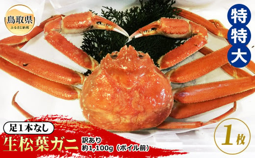 F24-073 【魚倉】足1本なし生松葉ガニ訳あり 特特大 約1,100g【期間限定】