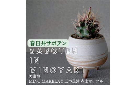 多治見市×春日井市コラボ 【美濃焼】  MINO MAKELAY 三つ足鉢 赤土マーブル × 【日本有数のサボテン産地】 春日井市の名店 後藤サボテン