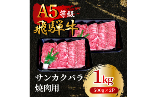 飛騨牛5等級 サンカクバラ焼肉用1kg(500g×2P)　FTA285【1578303】 1919776 - 岐阜県羽島市