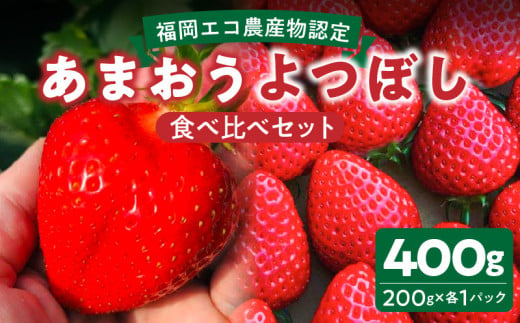 【先行予約】福岡県エコ農産物認定　堀農園のあまおう＆よつぼし食べ比べセット400ｇ(200g×2パック)_【先行予約】 エコ農産物認定 堀農園 あまおう よつぼし 各 200g × 1パック 計 400g 食べ比べ セット 完熟 食べ頃 いちご チルド便 大粒 甘み 程よい 酸味 バランス 絶妙 果汁 ジューシー 四つ星級 お取り寄せ 福岡県 久留米市 送料無料_Fi075