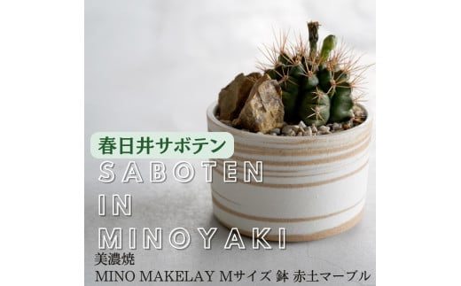 多治見市×春日井市コラボ 【美濃焼】   MINO MAKELAY Mサイズ 鉢 赤土マーブル × 【日本有数のサボテン産地】 春日井市の名店 後藤サボテン