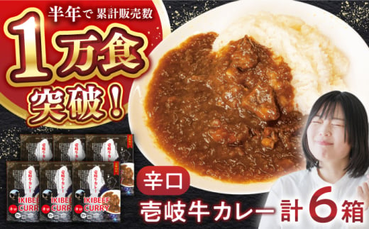 壱岐牛カレー辛口づくし《壱岐市》【アットマーク】 常温配送 カレー ご当地カレー レトルト 簡単調理 [JDW040] 1761792 - 長崎県壱岐市