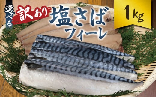 訳あり 塩サバフィーレ 約1kg ノルウェー産 冷凍 ｻﾊﾞ 鯖 塩サバ 塩鯖 海鮮 魚 大容量 規格外 不揃い 青魚 おかず 惣菜 魚介 おつまみ 弁当 人気 冷凍食品 グルメ 贈答 贈物 ギフト 長期保存 小分け お取り寄せ BBQ ふるさと納税 ふるさと納税サバ 送料無料 千葉県 銚子市 大一奈村魚問屋 1772768 - 千葉県銚子市