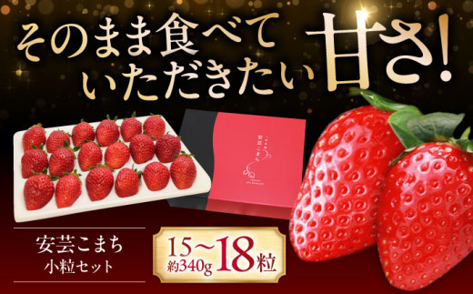 【12月20日～3月20日順次発送】水素水で育ったいちご「安芸こまち」小粒セット（約340g）（15粒～18粒入） 低農薬 苺 イチゴ 高級 フルーツ 果物 ベリー ギフト 贈答 三次市/田中電機工業[APBI001]