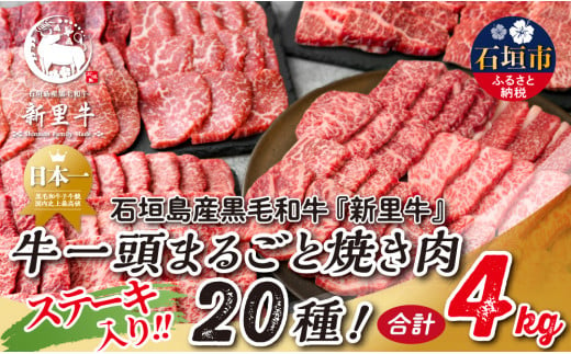 石垣島産 黒毛和牛 新里牛 まるごと焼き肉20種！贅沢食べ比べ 合計4kg SZ-73