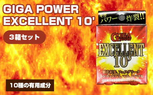 No.326 GIGA POWER EXCELLENT 10’ 3箱セット ／ サプリメント サプリ 大阪府 1796421 - 大阪府藤井寺市