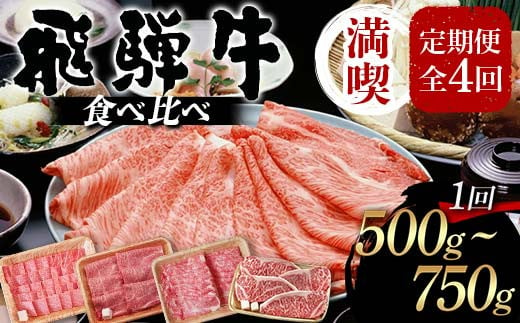 飛騨牛 満喫 定期便 全4回 食べ比べ 500g～750g F4N-1696 1783094 - 岐阜県中津川市