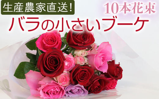 生産農家直送！バラの小さいブーケ 10本セット ※沖縄・離島への配送不可| バラ 薔薇 ばら 花束 花 ブーケ 家庭用 プチギフト 古河ブランド _AL05