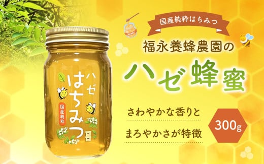 国産 純粋 福永養蜂農園のハゼ蜂蜜 （300g×1本） はちみつ ハニー 蜂蜜 ハチミツ 熊本県 宇城市 1760022 - 熊本県宇城市