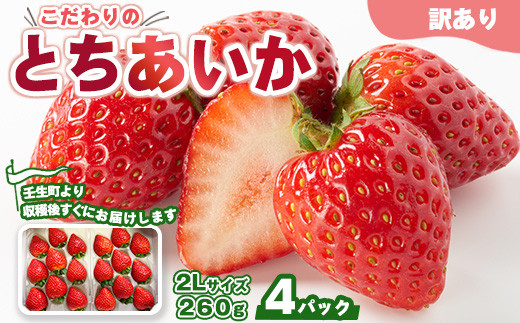 「訳あり」とちあいか 2Lサイズ 260g×4パック ｜ 訳あり とちあいか いちご 苺 栃木県 果物 フルーツ ※北海道・沖縄・離島への配送不可 ※2025年1月中旬～3月中旬頃に順次発送予定