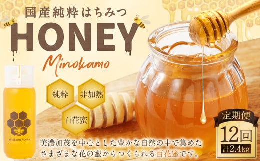 【12ヶ月定期便】MINOKAMO HONEY はちみつ 1本（200g）×12回 ｜ 藤井養蜂 蜂蜜 非加熱 百花蜜 国産 純粋 定期便 岐阜 1467452 - 岐阜県美濃加茂市