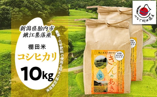 棚田米きんのあき10kg（5kg×2袋） 新潟県胎内市鍬江集落産 コシヒカリ 特別栽培米 1805383 - 新潟県胎内市