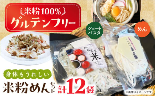 高槻産 米粉 100％ 米粉めんセット 大阪府高槻市/株式会社高谷 米粉 麺 お米 グルテンフリー 小麦粉 [AOAW021] 1759112 - 大阪府高槻市