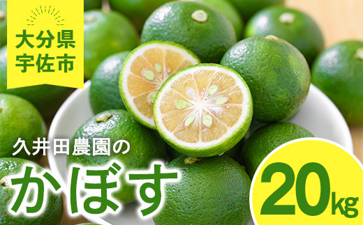 かぼす(20kg)柑橘 かんきつ 大分県産直 期間限定【112600400】【ａｎｄＫ】 817308 - 大分県宇佐市