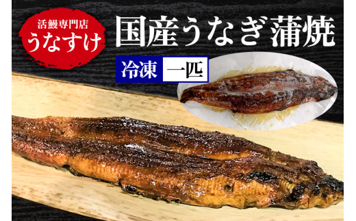 [冷凍] 国産うなぎ 蒲焼 (1匹) [0920] 1569372 - 大阪府寝屋川市