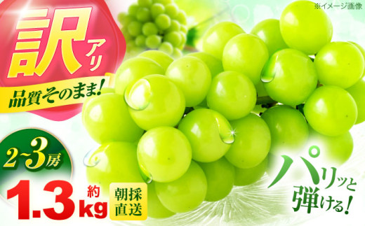 【2025年発送分／先行予約】【訳あり・ご家庭用】 シャインマスカット 約1.3kg(2～3房) / フルーツ 果物 ぶどう マスカット シャインマスカット しゃいんますかっと 訳あり 訳アリ  わけあり ワケアリ / 諫早市 / 肥前グローカル株式会社 [AHDI007] 1418120 - 長崎県諫早市 |シャインマスカット・ぶどう