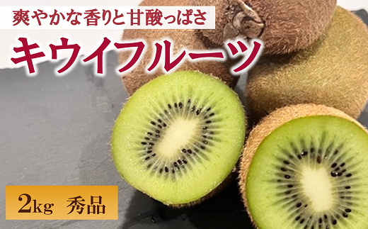 キウイフルーツ 2kg 秀品 【糖度14度~16度】 人気 数量限定 キウイ 愛媛 【2024年11月以降発送】|B152 940943 - 愛媛県伊予市