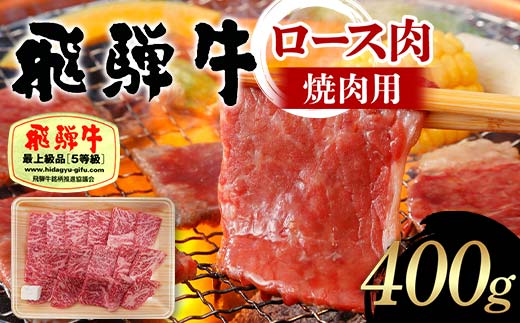 飛騨牛 A5等級 ロース肉 焼肉用 400g 牛 肉 等級 ロース 焼き肉 霜降り 飛騨 F4N-1685 1856691 - 岐阜県中津川市