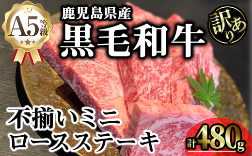 【訳あり】鹿児島県産A5等級黒毛和牛不揃いロースミニステーキ (計480g) 黒毛和牛 ロースステーキ 冷凍【KNOT】 A641 1811736 - 鹿児島県曽於市