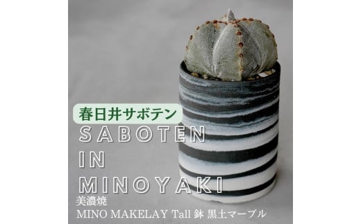 多治見市×春日井市コラボ 【美濃焼】 MINO MAKELAY Tall 鉢 黒土マーブル × 【日本有数のサボテン産地】 春日井市の名店 後藤サボテン