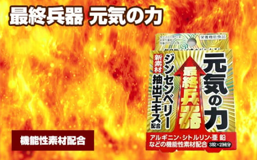 No.312 最終兵器 元気の力 ／ サプリメント サプリ 大阪府 1796407 - 大阪府藤井寺市