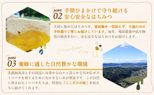 国産 無添加 MINOKAMO HONEY はちみつ 3本（300g×3）