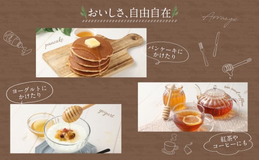 国産 無添加 MINOKAMO HONEY はちみつ 3本（300g×3）