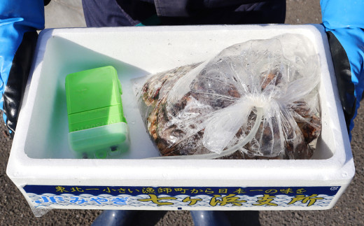 海水にあわびを入れ、エアーポンプをつけて冷蔵配送いたします。