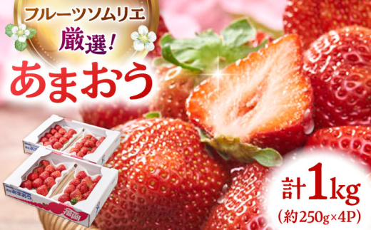 【2025年2月上旬より発送】福岡産【春】あまおう4パック ▼ 福岡 あまおう イチゴ 苺 果物 フルーツ 桂川町/南国フルーツ株式会社[ADBW008] 1803911 - 福岡県桂川町