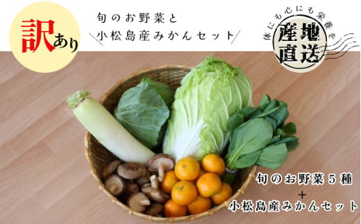 訳あり 季節のお野菜5品とみかんセット 季節 旬 野菜 詰め合せ 国産 みかん 季節 旬 おまかせ 産地直送 春野菜 夏野菜 秋野菜 きのこ 葉物 果物 果菜 根菜 冷蔵 野菜室 ダイエット 食 栄養食 加工品 カット野菜 小松島産 季節限定 1805497 - 徳島県小松島市