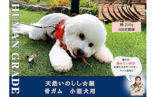 FB173_小型犬向け☆天然いのししの骨ガム200g【定期便】全6回
