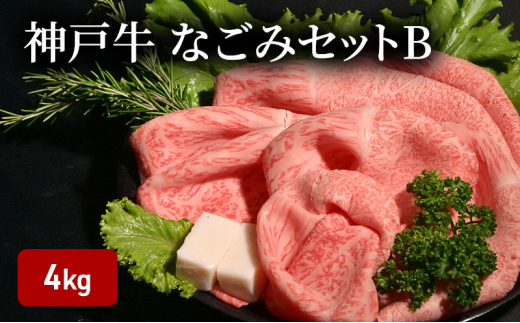 神戸牛なごみセットB（4kg）  [肉 牛肉 神戸牛 最高級肉 神戸ビーフ 神戸肉 但馬牛 もも スライス すき焼き 肩ロース ロース ステーキ 焼肉 食べ比べ お取り寄せ 加東市 兵庫県]