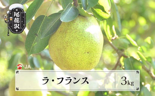 先行予約 ラ・フランス 3kg 11月上旬～11月中旬頃発送 令和7年産 2025年産 ラフランス 梨 洋梨 果物 フルーツ 山形県産 送料無料 ja-laxxx3 1809455 - 山形県尾花沢市