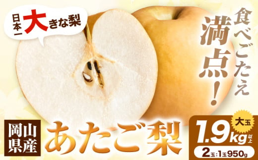 梨 H-36a 岡山県産 あたご梨 大玉2個入り(1玉950g以上)令和7年産先行受付[11月下旬-12月中旬頃出荷]