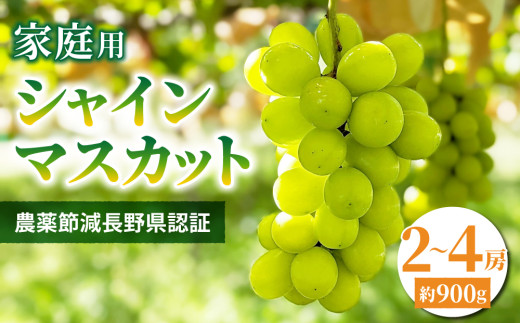 【先行受付2025年発送】家庭用シャインマスカット900g（2~4房）農薬節減長野県認証｜東御こもだ果樹園　※2025年9月下旬～10月下旬に発送予定 1256181 - 長野県東御市