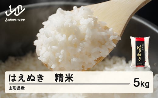 ＜先行予約＞新米 米 はえぬき 精米 5kg 令和7年産 2025年産 山形県産 tf-hasxb5-11s 2131456 - 山形県山辺町