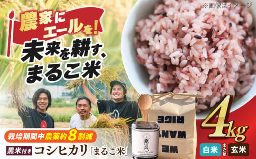 【新米：令和6年産】【玄米】 滋賀県西浅井町産コシヒカリ2kg ×2・黒米 あさむらさき 200g セット 滋賀県長浜市/ONE SLASH 株式会社 [AQCZ011-1] 米 お米 白米 玄米 黒米 コシヒカリ 1801211 - 滋賀県長浜市