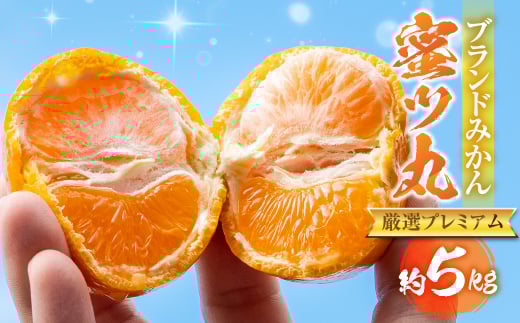 ≪先行予約≫こだわり蜜柑 蜜ツ丸 厳選プレミアム 約5kg レギュラー箱入 マルカワ園芸 みかん こだわりみかん おみかん屋 ミカン mikan 蜜柑