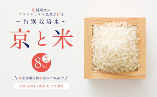 京都府京田辺産 京と米 ヒノヒカリ 8kg (2kg×4袋) お米 米 こめ コメ 精米 白米 ごはん ご飯 弁当 おにぎり 京田辺市 京都府 1745430 - 京都府京田辺市