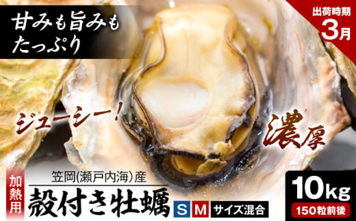 笠岡産 (瀬戸内海産) 殻付き牡蠣 (加熱用) S・Mサイズ混合 10kg 150粒前後《3月上旬-3月末頃出荷》岡山県 笠岡市 かき カキ 牡蠣 生牡蠣 瀬戸内海産 殻付き