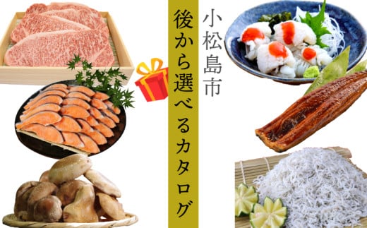 小松島市 あとから選べる カタログ 10万円分 鮮魚 肉 米 酒 定期便 スイーツ 日用品 選べる ギフト セレクト